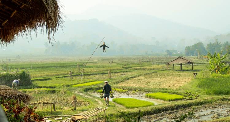 Viaje Selecto de 11 Días por los Ríos y la Selva de Laos - Stray Asia 4