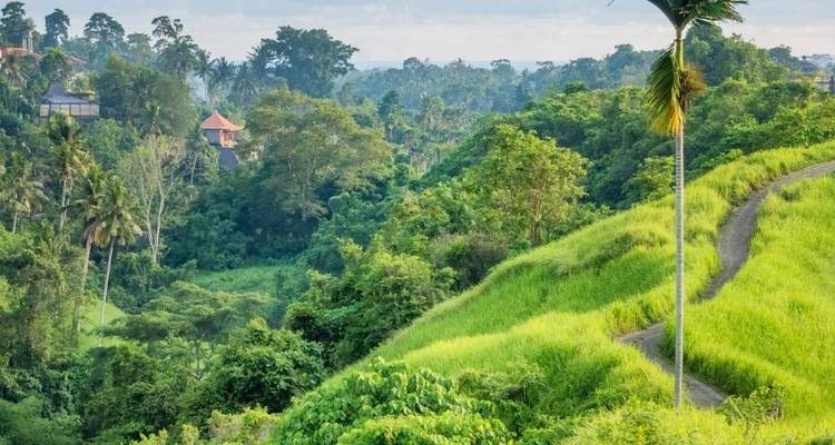 Los mejores hoteles de lujo de Bali 4* para 8 días en coche - My Bali Road Trip 6