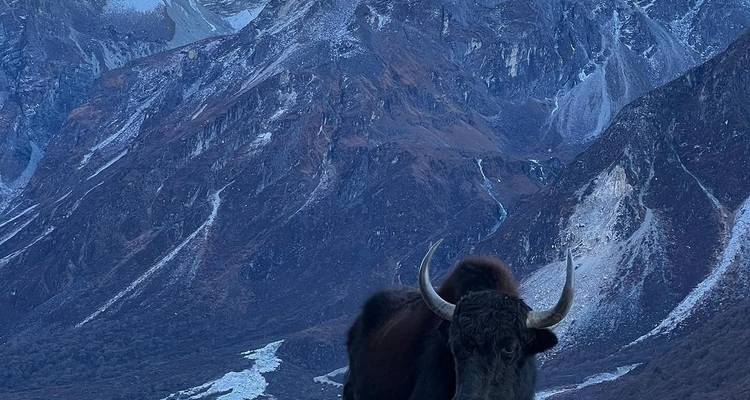 Pikey Peak Trek 2024 - Himalaya Heart Treks & Expedition[P] Ltd  4