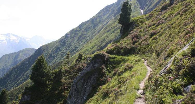 Hiking on the Berliner Höhenweg - World of Mountains GmbH 1