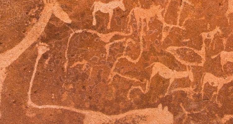 La beauté de la Namibie - 10 jours | Auto Tour - Camping - Motema Tours and Safaris 8