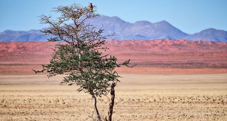Beauté de la Namibie - 10 jours | Camping privé avec guide - Motema Tours and Safaris 4