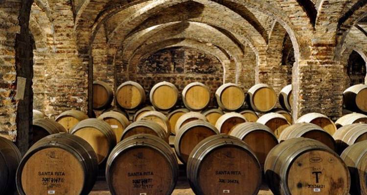 Des rangées de tonneaux en bois dans une cave voûtée en briques créent une ambiance historique.