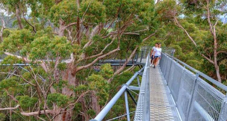 Southern Experience Tour - WA NT TOURS 3
