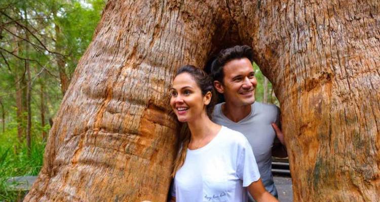 Recorrido Experiencia Sur - WA NT TOURS 10