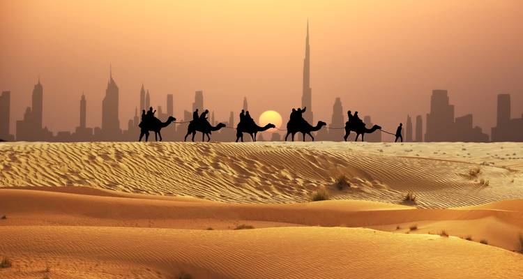 Chameaux marchant dans le désert avec un coucher de soleil et un horizon urbain.