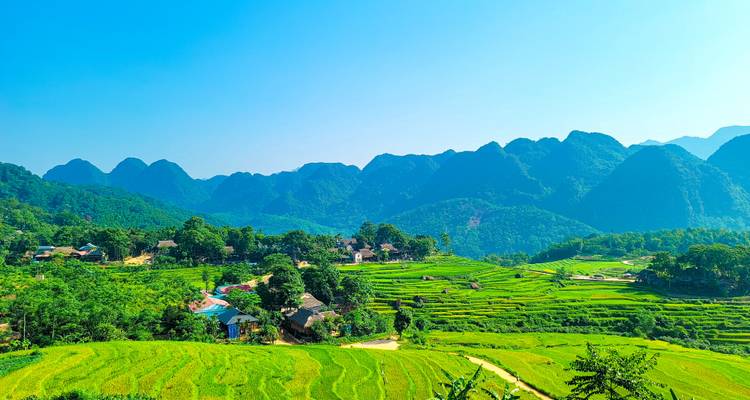 Levendige rijstterrassen met huizen genesteld in heuvels.