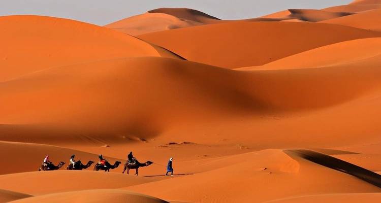Sabores de Marruecos - Perfectly Morocco Tours 5