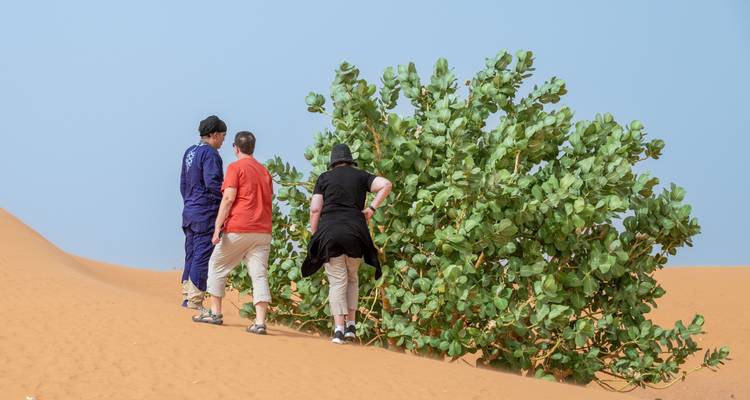 4 jours d'excursion dans le désert de Merzouga - Perfectly Morocco Tours 4