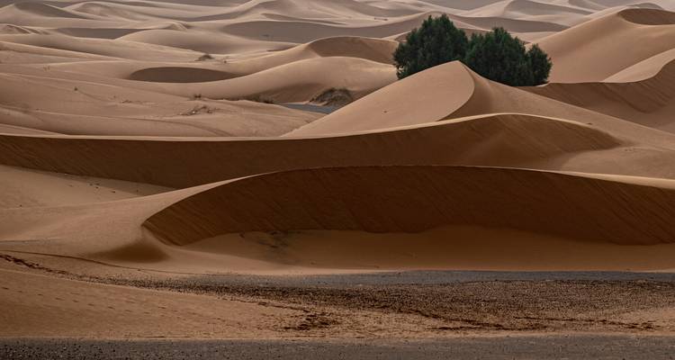 Aventure dans le désert en 4 jours - Perfectly Morocco Tours 8