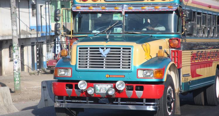 Kleurrijke lokale bus in een straat met een zichtbare chauffeur.