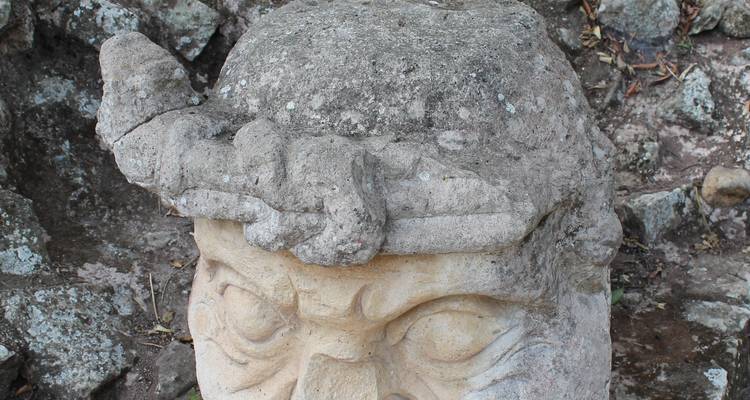 Een gebeeldhouwde stenen kop op een archeologische vindplaats.