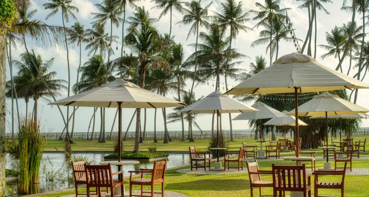 Outdoor-Dining mit Palmen und Sonnenschirmen am Wasser.
