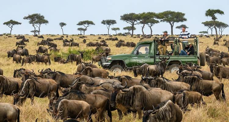 Een safariwagen met toeristen die een grote kudde gnoes observeren in een grasland.