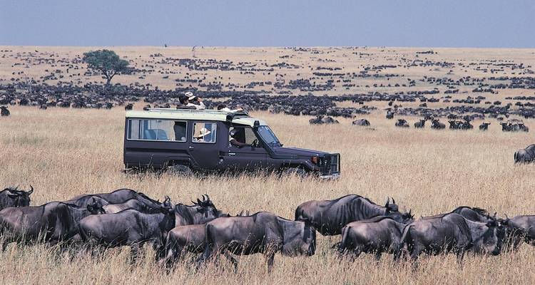 Een safariwagen met toeristen omringd door trekkende gnoes.