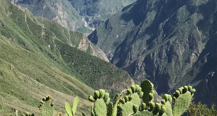 Cañón del Apurímac con avistamiento de cóndores desde Cusco en un día - Crossover Peru 7