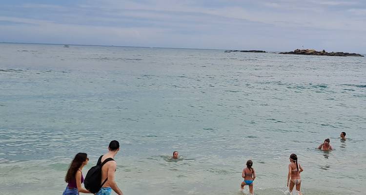 People swimming at a beach.