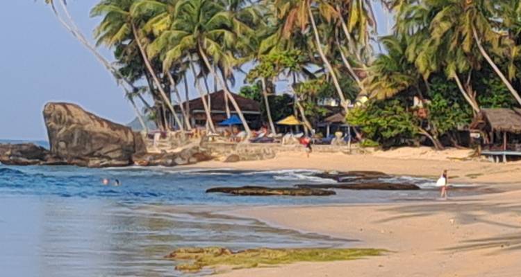 Beach scene with huts and palm trees.