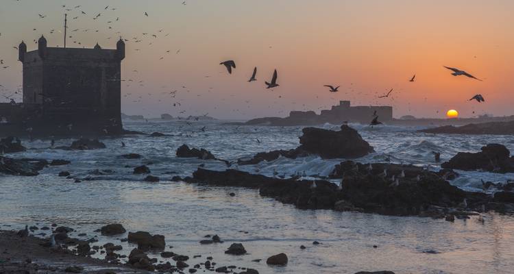 8-Day Morocco Family Adventure - Morocco Getaway Ltd  7