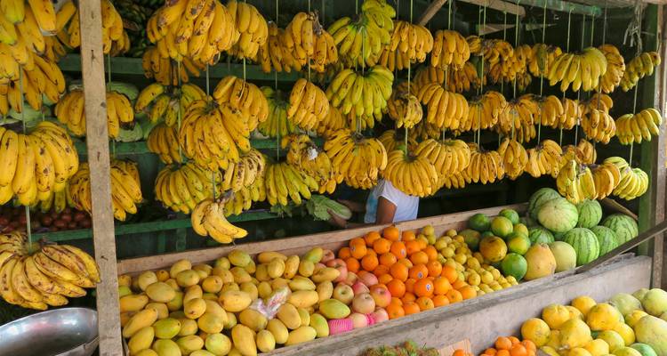 Shopping dans les îles des Philippines : Merveilles tropicales et joyaux cachés (9 destinations) - journaway 6