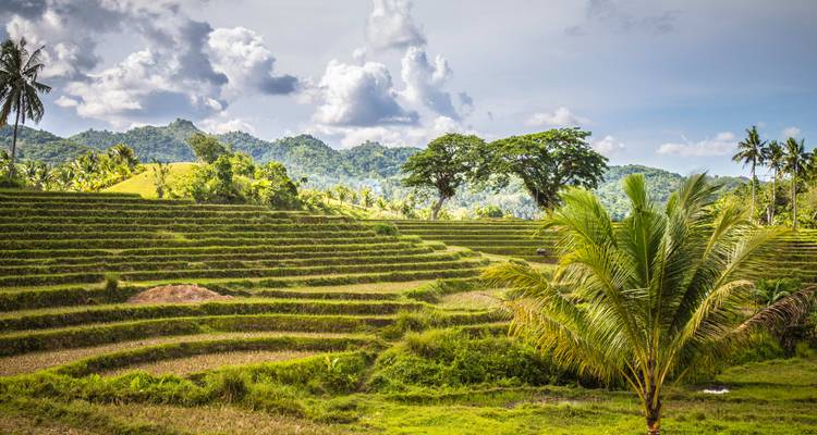 Shopping dans les îles des Philippines : Merveilles tropicales et joyaux cachés (9 destinations) - journaway 9