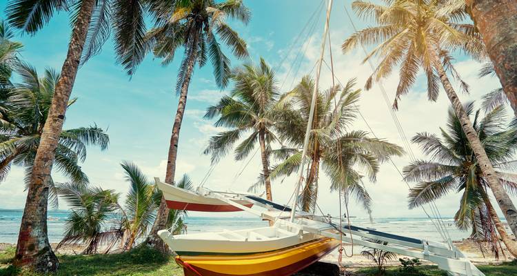 Tropisch strandtafereel met een boot en palmbomen.