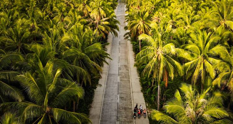 Luchtfoto van een weg omzoomd met palmbomen met motorfietsen in beeld.