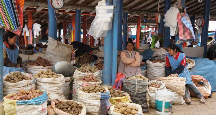 Marktscène met verkopers die aardappelen verkopen.