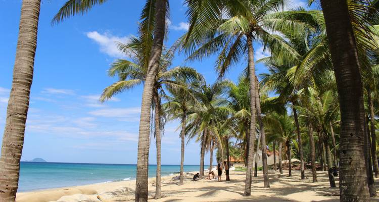 Palmbomen op een zandstrand met mensen die ontspannen.