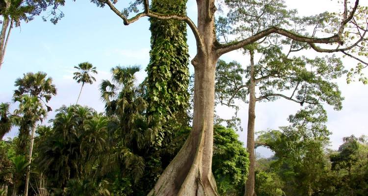 10 Días en el Corazón de Ghana: Cultura, Naturaleza y Aventura - Landtours Ghana Ltd. 3