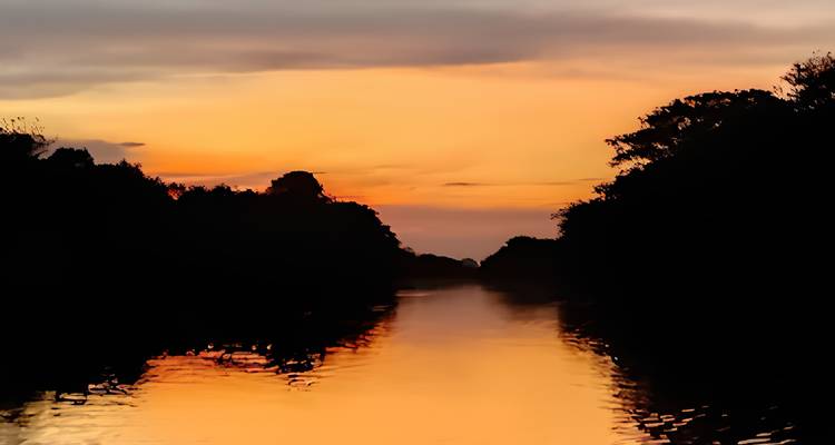 Gouden zonsondergang weerspiegelt zich in rustig rivierkanaal omgeven door donkere boomsilhouetten in afgelegen savanne