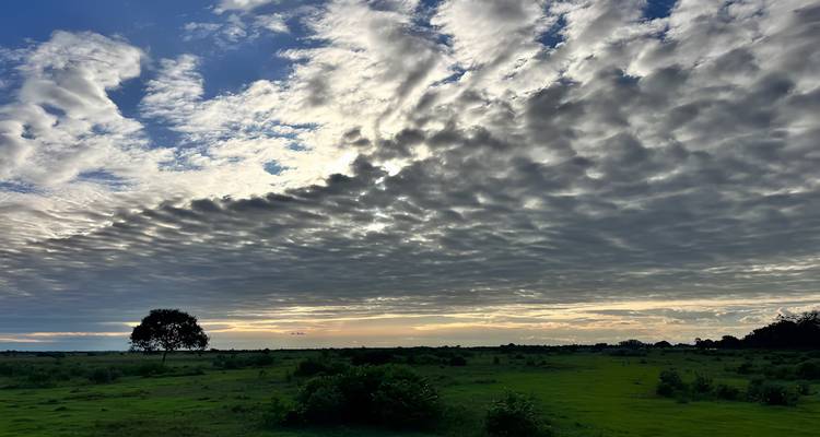 Dramatische lucht vol met golvende wolken boven een wijde groene vlakte met een enkele boom op de horizon bij schemering.