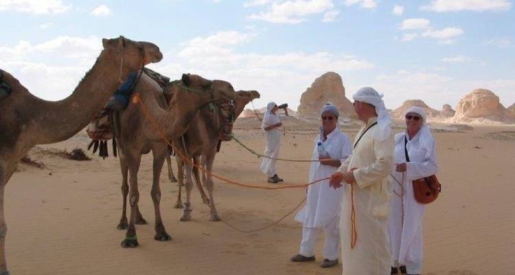 Desierto del Sáhara y Oasis Egipcios ( Dakhla, Kharga, Farafra y Desierto Blanco) - Agazat Club 3