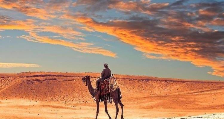 Desierto del Sáhara y Oasis Egipcios ( Dakhla, Kharga, Farafra y Desierto Blanco) - Agazat Club 8