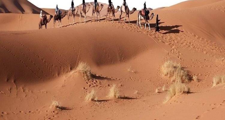 Desierto del Sáhara y Oasis Egipcios ( Dakhla, Kharga, Farafra y Desierto Blanco) - Agazat Club 9