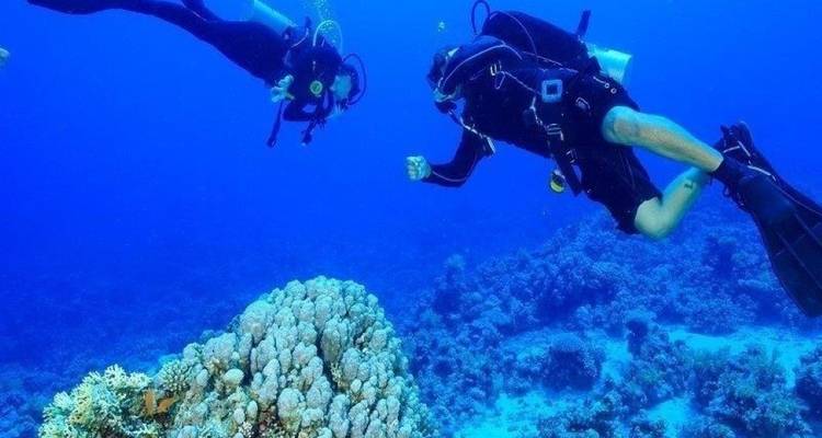 Les joyaux du Caire et les vacances à Sharm - Agazat Club 8