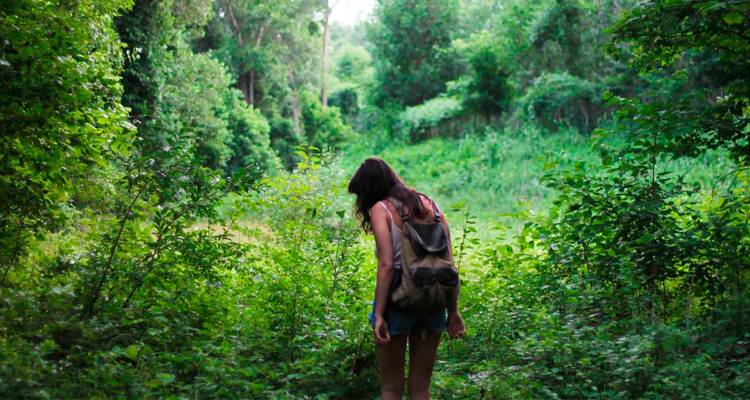 Hidden Gems of Costa Rica - Green World Adventures 1