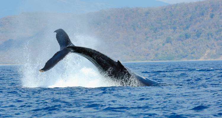 Hidden Gems of Costa Rica - Green World Adventures 2