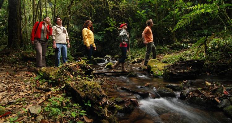 Hidden Gems of Costa Rica - Green World Adventures 3