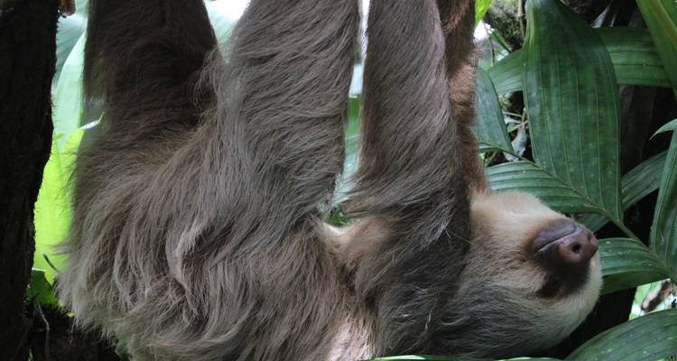 Hidden Gems of Costa Rica - Green World Adventures 4