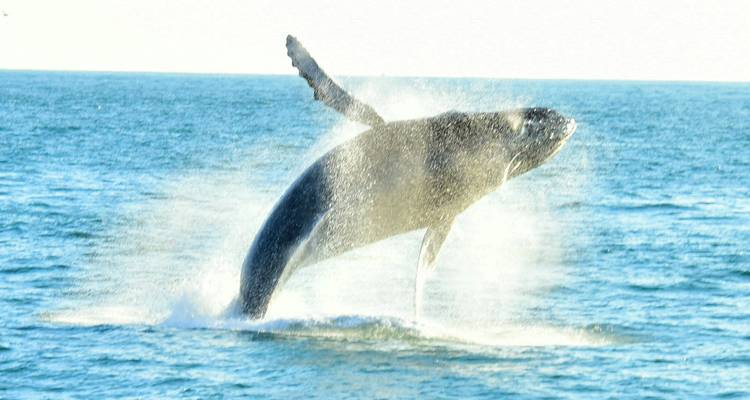 Hidden Gems of Costa Rica - Green World Adventures 6