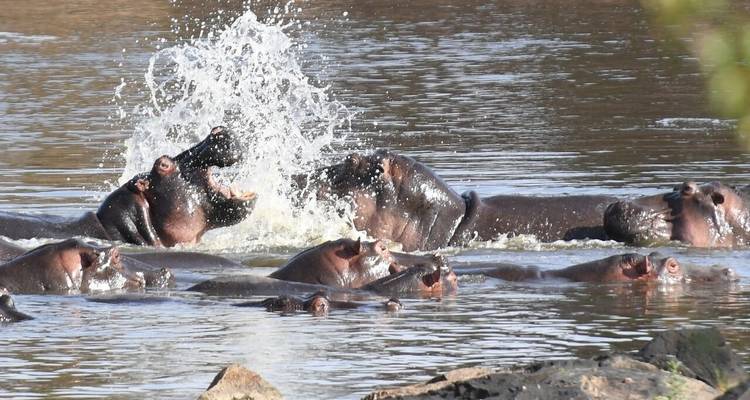 Safari de lujo en grupo de 8 días por Kenia - Fechas de salida fijas - Samson's Safaris 8