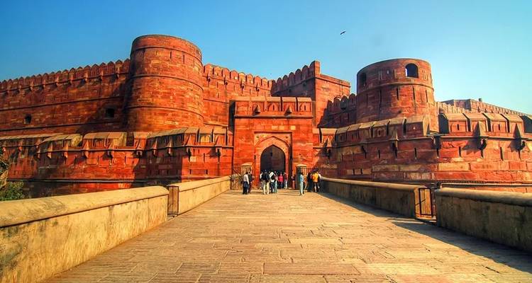 From Delhi: Sunrise Taj Mahal Tour with Elephant Conservation Center - WILDLIFE SOS - India Taj Tour 2