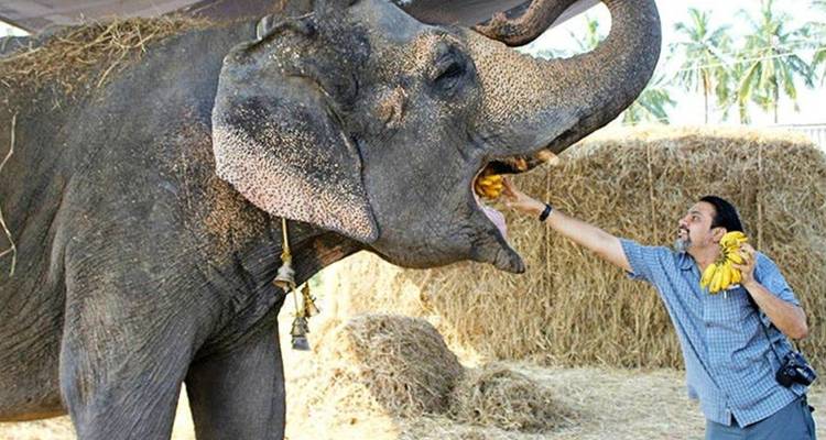 From Delhi: Sunrise Taj Mahal Tour with Elephant Conservation Center - WILDLIFE SOS - India Taj Tour 1