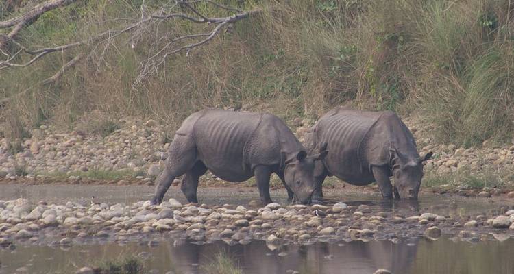 Esencia de Nepal Cultura, Ocio, Naturaleza e Impacto Social Destacados - Tweet World Travel 6