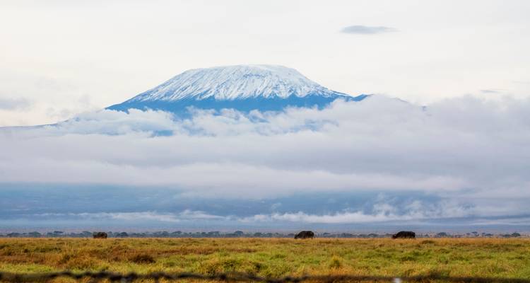 Mont Kilimandjaro avec une vue étendue sur les plaines.