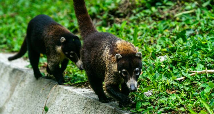 Escapade au Costa Rica - Expat Explore Travel 6