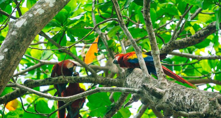 Escapade au Costa Rica - Expat Explore Travel 7