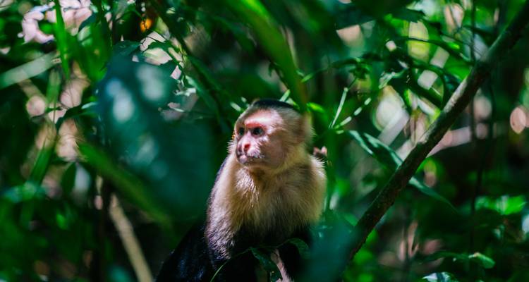 Escapade au Costa Rica - Expat Explore Travel 10