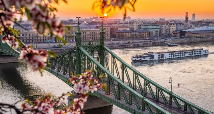 Stad met een prominente groene brug over een rivier tijdens zonsopgang met bloesems.